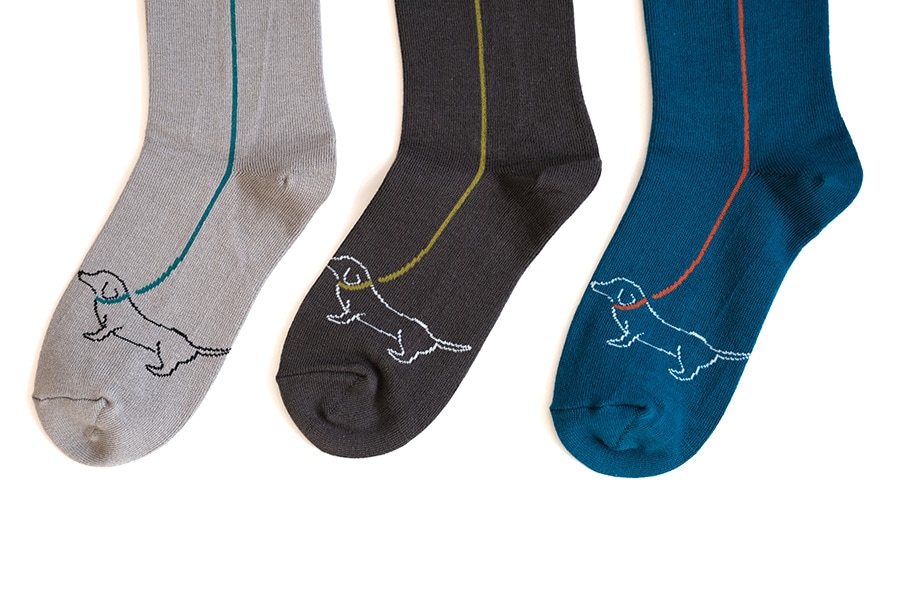 HASHIMOTO NAOKO+ inu to osampo